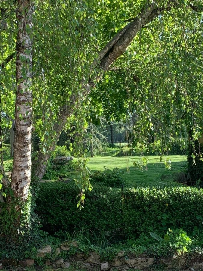 Bed and Breakfast Moulin De Champrond -Montmirail -Sarthe Екстер'єр фото