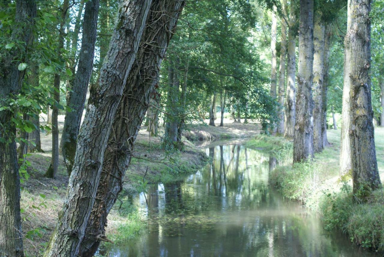 Bed and Breakfast Moulin De Champrond -Montmirail -Sarthe Екстер'єр фото