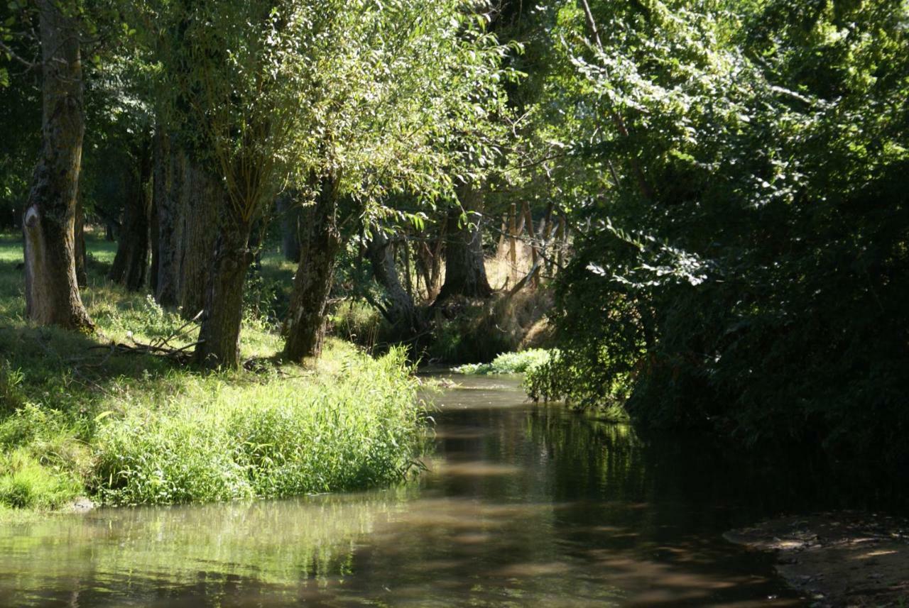 Bed and Breakfast Moulin De Champrond -Montmirail -Sarthe Екстер'єр фото