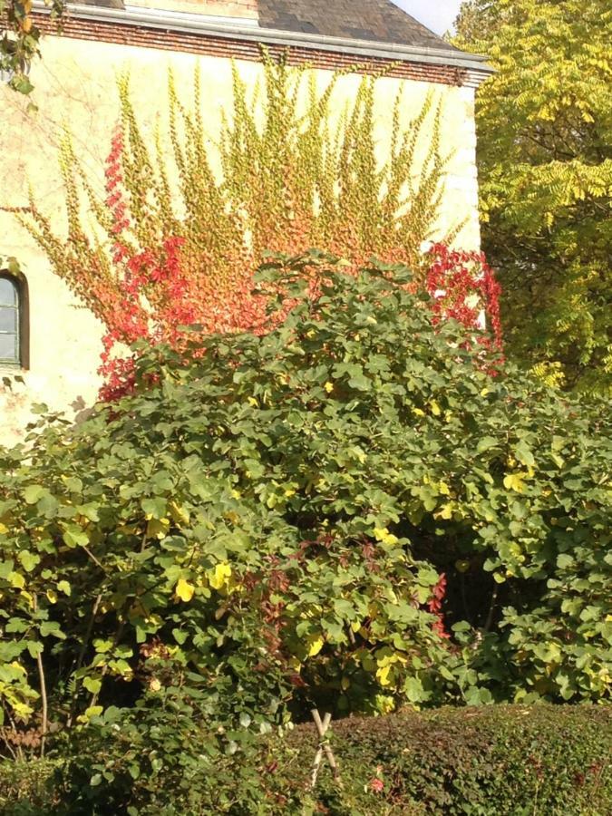 Bed and Breakfast Moulin De Champrond -Montmirail -Sarthe Екстер'єр фото