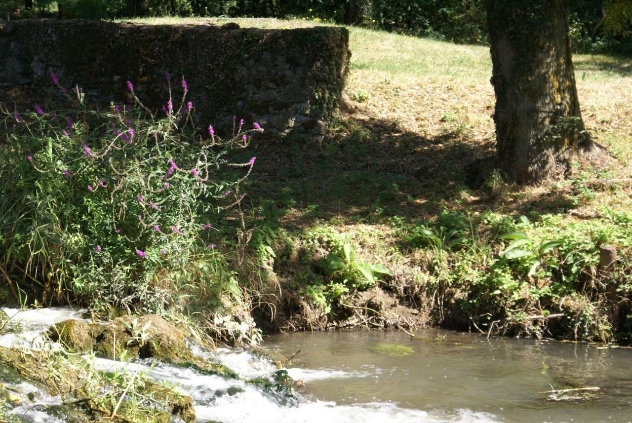 Bed and Breakfast Moulin De Champrond -Montmirail -Sarthe Екстер'єр фото